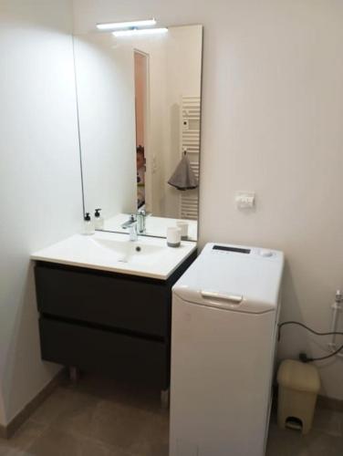 La salle de bains est pourvue d'un lavabo, d'un miroir et d'un réfrigérateur. dans l'établissement Appartement Les Flots d Arthlotte Cabellou Plage, à Concarneau