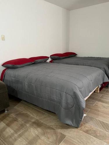 dos camas sentadas una al lado de la otra en una habitación en Bonito departamento tipo “estudio” 2, en Ciudad Juárez