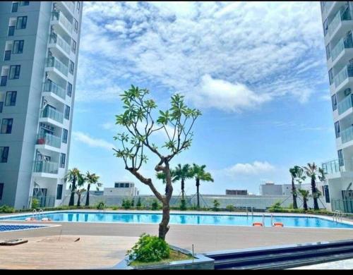 a tree in front of a swimming pool with buildings at Căn hộ 3 phòng ngủ từ 4-6 người, bể bơi, phòng gym, view thành phố in Thôn Văn Dương