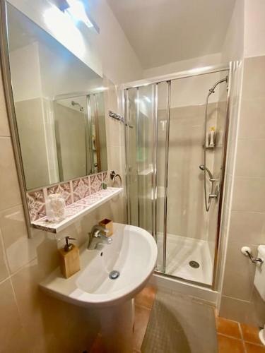 une salle de bain avec un lavabo et une douche dans l'établissement Appartement en bord de mer avec piscine, à San-Nicolao