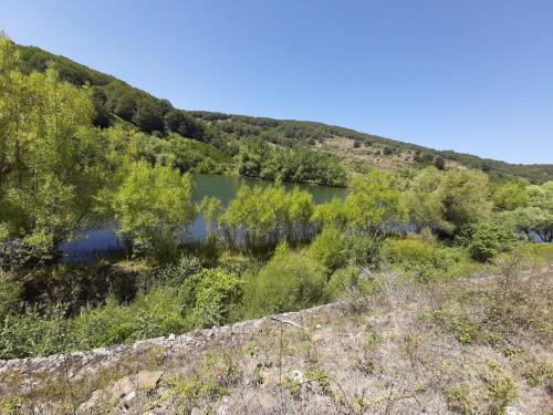a lake in the middle of a hill with trees at BB Cesarò Mariolo house in Cesarò
