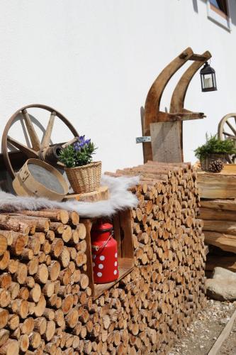 a pile of fire wood next to a pile of logs at Berghaus Martin in Neustift im Stubaital