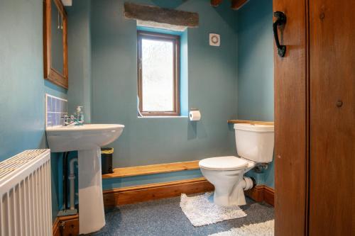 a bathroom with a toilet and a sink and a window at The Old Cart House in Westerdale
