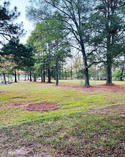 a park with trees and a circle in the grass at Home in Malvern in Malvern