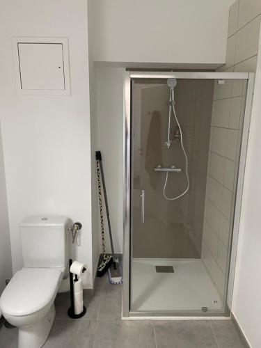 un baño con ducha y WC en Gîte chti picard parking privé gratuit et 100m de la plage, en Berck-sur-Mer
