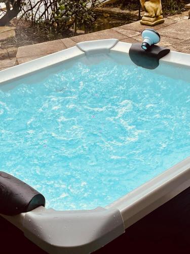 a large swimming pool with a water pump in it at Duke of Monmouth penthouse luxury apartment Lyme Regis 3 bedroom parking Hot tub Garden dog friendly in Lyme Regis