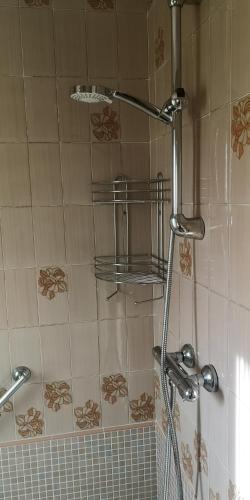 La salle de bains est pourvue d'une douche et de carrelage. dans l'établissement Appartement dans villa avec jardin et piscine privée, à Marguerittes