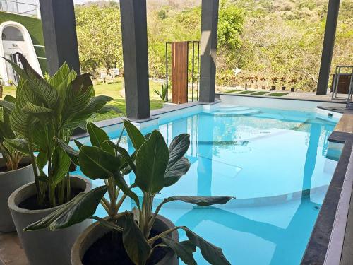 a swimming pool with two potted plants next to it at NYAST VALLEY RESORT, ARPORA in Arpora