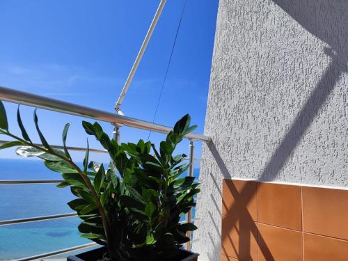 een plant op een balkon met de oceaan op de achtergrond bij NOVA Sea View Apartments in Durrës