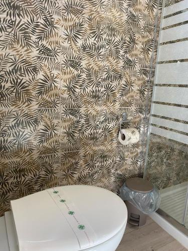 a white toilet in a bathroom with a patterned wall at Agriturismo Tenuta la Monaca in Aradeo