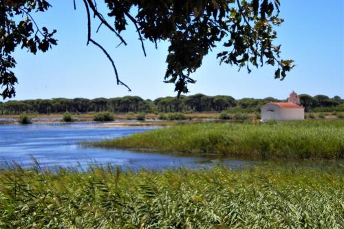 Paisaje cerca of this country house