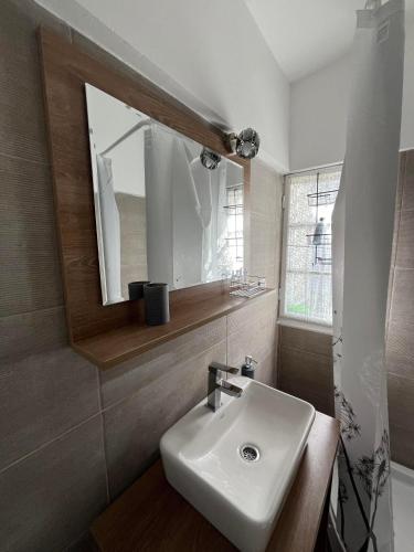 a bathroom with a sink and a mirror at Villa Lenka Sokobanja in Soko Banja