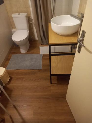 une salle de bain avec un lavabo et des toilettes dans l'établissement Studio meublé 27 mètres carrés wifi netflix, à Niort