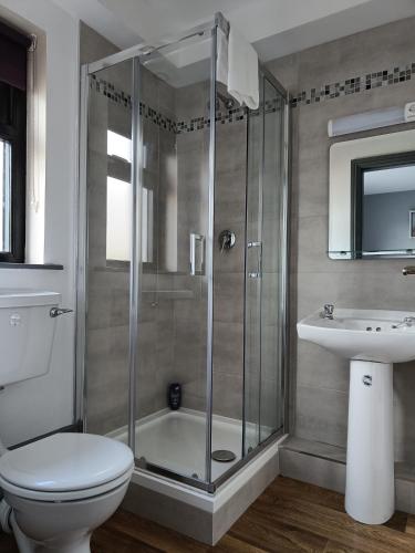 een badkamer met een douche, een toilet en een wastafel bij Dingle Town Center Apartment in Dingle