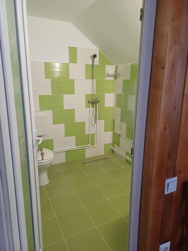 a green and white bathroom with a shower and a toilet at Sătic Casa Maria in Sătic