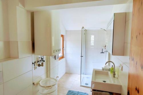 a bathroom with a shower and a toilet and a sink at Wald & Bach Gutenstein (50 Minuten von Wien) in Gutenstein