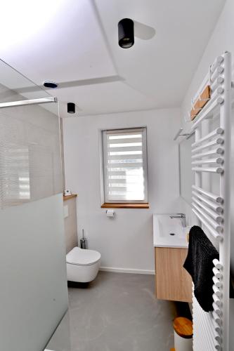 Un baño blanco con inodoro y lavabo. en Chez Laure - Gîte 4 personnes, près de Durbuy, en Durbuy