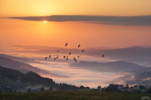 Blick auf den Sonnenuntergang/Sonnenaufgang von des Ferienhauses aus oder aus der Nähe