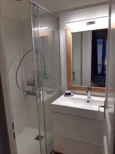 La salle de bains est pourvue d'une douche et d'un lavabo avec un miroir. dans l'établissement Basse Fontaine, à Vence