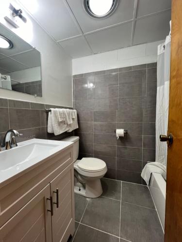 uma casa de banho com um lavatório, um WC e um espelho. em Budget Inn em Herkimer