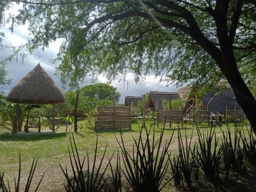 un parque con un árbol y un pabellón en Real African Life safaris and Camps, en Lukungu