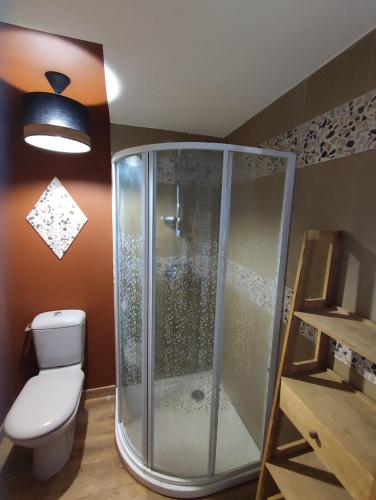 une salle de bain avec douche et toilettes dans l'établissement F2 EXTERIEUR LIT KING SIZE, à Brives-Charensac