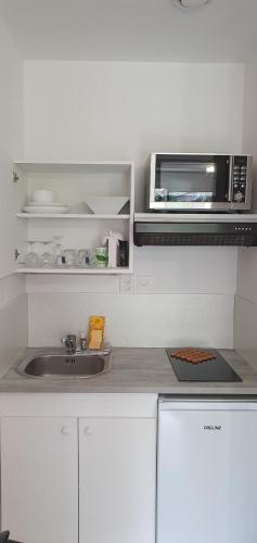 eine Küche mit einer Spüle und einer Mikrowelle in der Unterkunft Coeuilly village parisien Champigny sur Marne in Champigny-sur-Marne