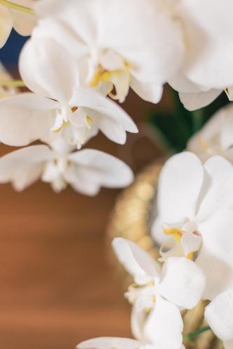 a close up of white flowers on a table at Hotel & Restaurant Rose in Bietigheim-Bissingen