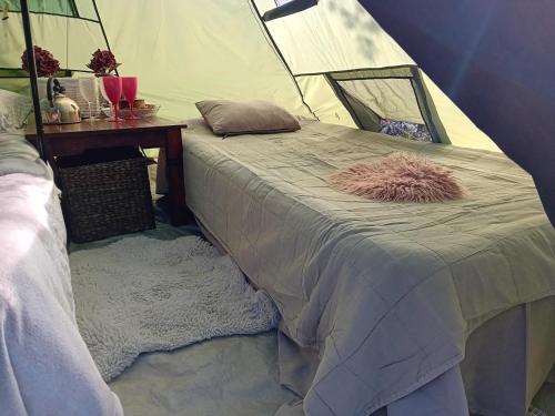 a bed in a tent with a pillow on it at Indian tent glamping in Mrše