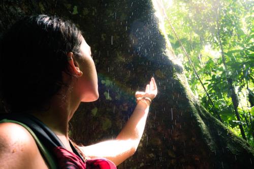 a woman looking up at a tree in the jungle at Encanta La Vida in Cabo Matapalo