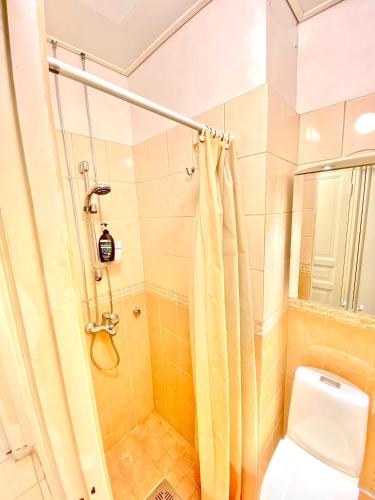 bagno con doccia e servizi igienici. di Yksityinen huone ja kylpyhuone kaupungin keskustassa a Helsinki