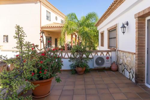 House Pool & Parking Malaga