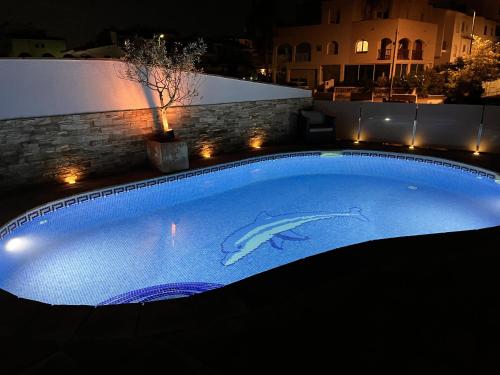 uma piscina à noite com um golfinho pintado nela em Villa Empuriabrava on main canal with 13 m private mooring, private pool, air con in all rooms, non-smoking em Empuriabrava