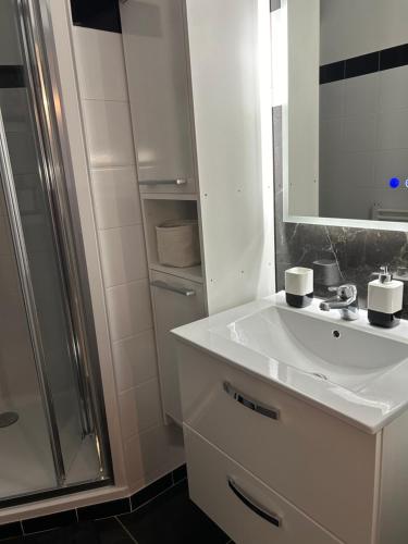 a bathroom with a white sink and a shower at Appartement Centre de St Remy in Saint-Rémy-de-Provence