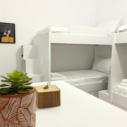 a room with a bunk bed and a plant at Ziu Guest House in Berat