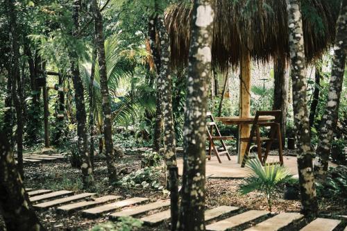 a wooden table and chair in a forest of trees at Villas Zamna - Jungle Villas in Cozumel