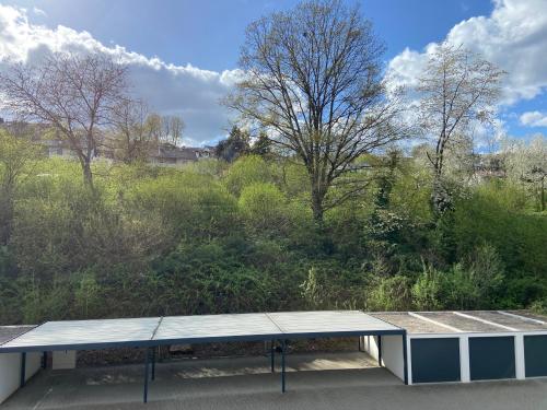 a picnic table on top of a building at Ferienwohnung am Erbacher Mümlingufer in Erbach im Odenwald