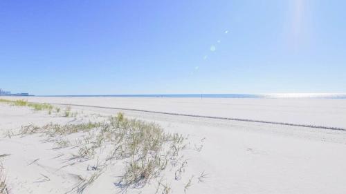 a sandy beach with grass in the middle of it at Escape to Raleigh Ave 3 Steps from the Beach in Atlantic City