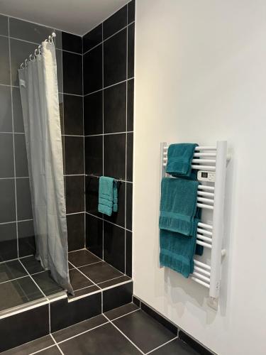 bagno con doccia e asciugamani verdi di Grand gîte Gastes a Gastes