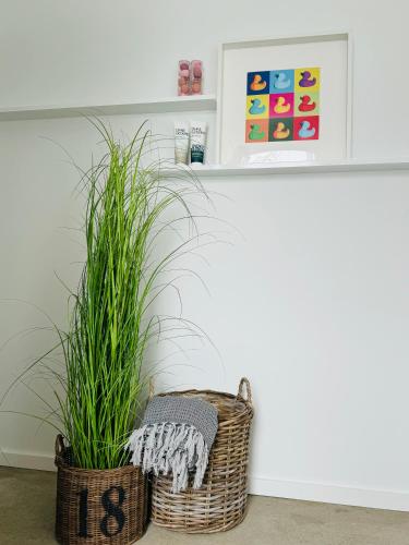 two baskets with plants in them next to a wall at Sievershof Poolloft in Wietzendorf