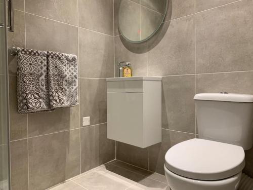 une salle de bain avec des toilettes blanches et un miroir dans l'établissement La bergerie, à Quillan