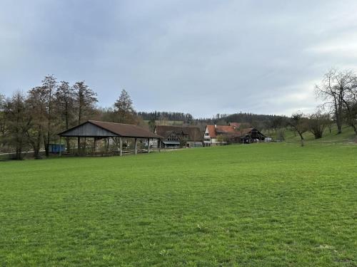 a large green field with a building in the background at Ferienhaus Gersmühle 