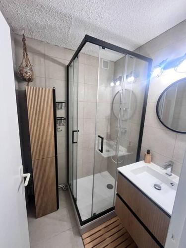 une salle de bain avec une douche en verre et un lavabo dans l'établissement Bel appartement T2 refait à neuf avec piscine couverte de juin à fin septembre, à Bielle