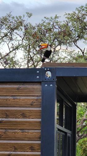 a bird sitting on the top of a building at Pousada Vilas Boas - Suíte Casal 1 in Cavalcante