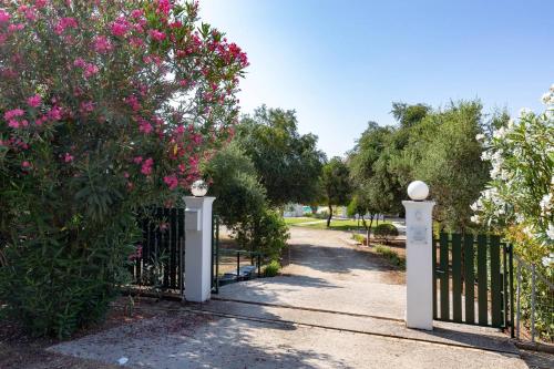 a gate in a park with pink flowers at Skales Villas in Almiros Beach