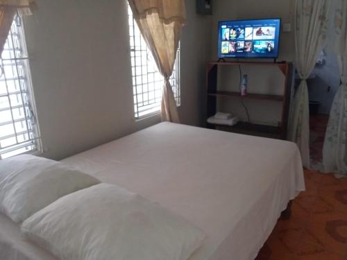 a bedroom with a white bed and a television at Dawsons B&T privet 1 in Kingston