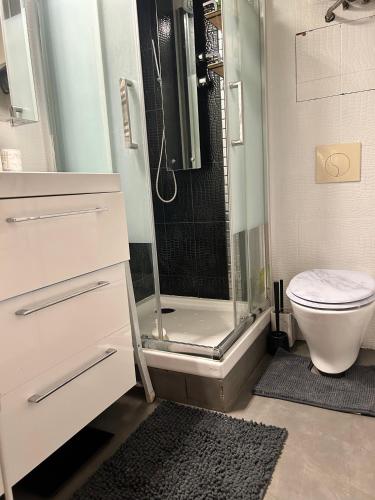 une salle de bain avec une douche en verre et des toilettes dans l'établissement Appartement Loft Lumière T2 à Ivry-sur-Seine, à Ivry-sur-Seine