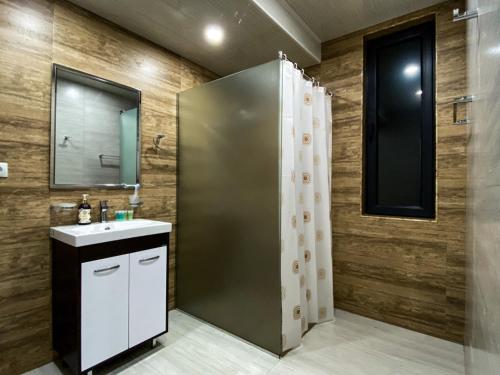 La salle de bains est pourvue d'un lavabo et d'une douche. dans l'établissement MODERN HOUSE 1, à Dilidjan