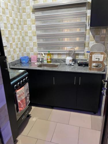 encimera de cocina con fregadero y fogones en belphus Apartment, en Lagos