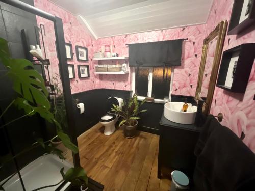 een roze badkamer met een wastafel en een spiegel bij Townhouse near city centre in Dublin